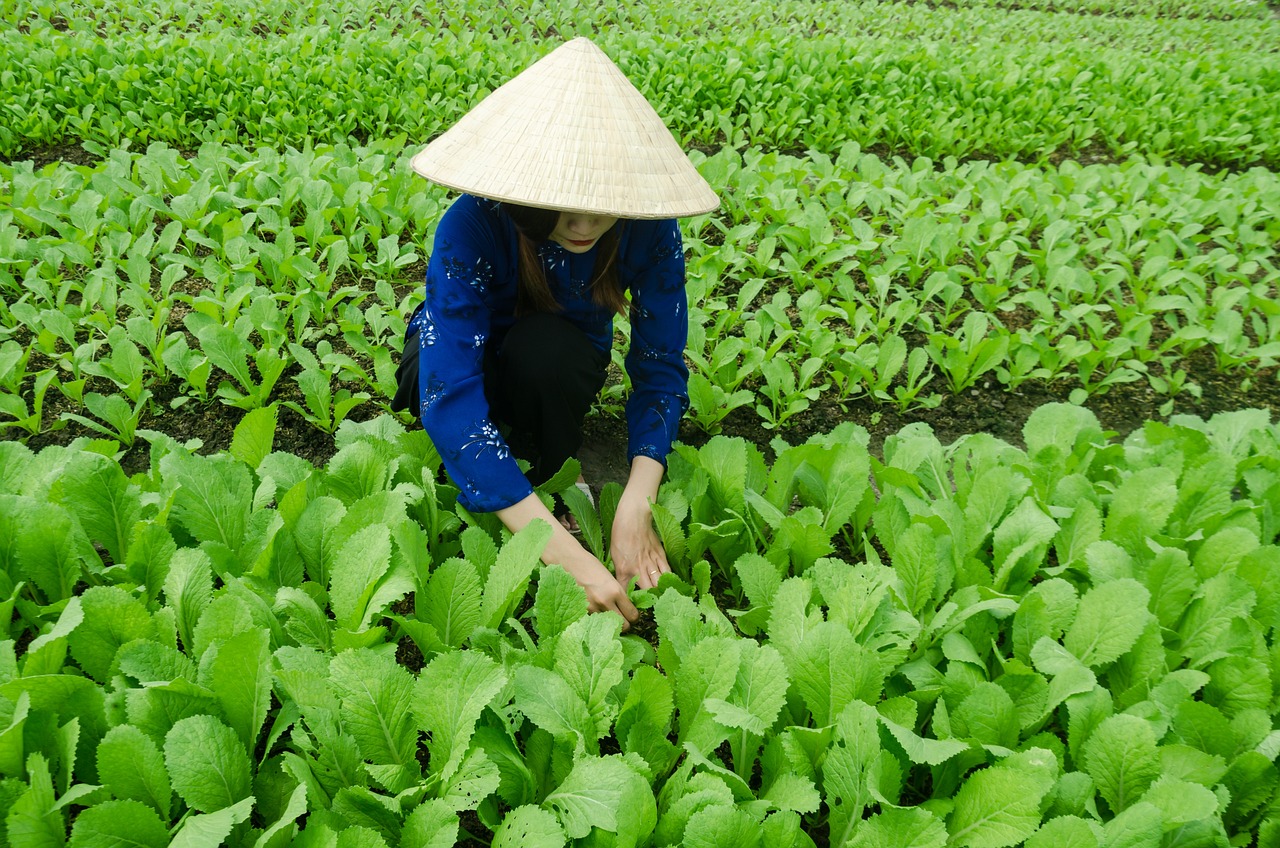 關(guān)于236省道的最新動態(tài)報道與進展概述