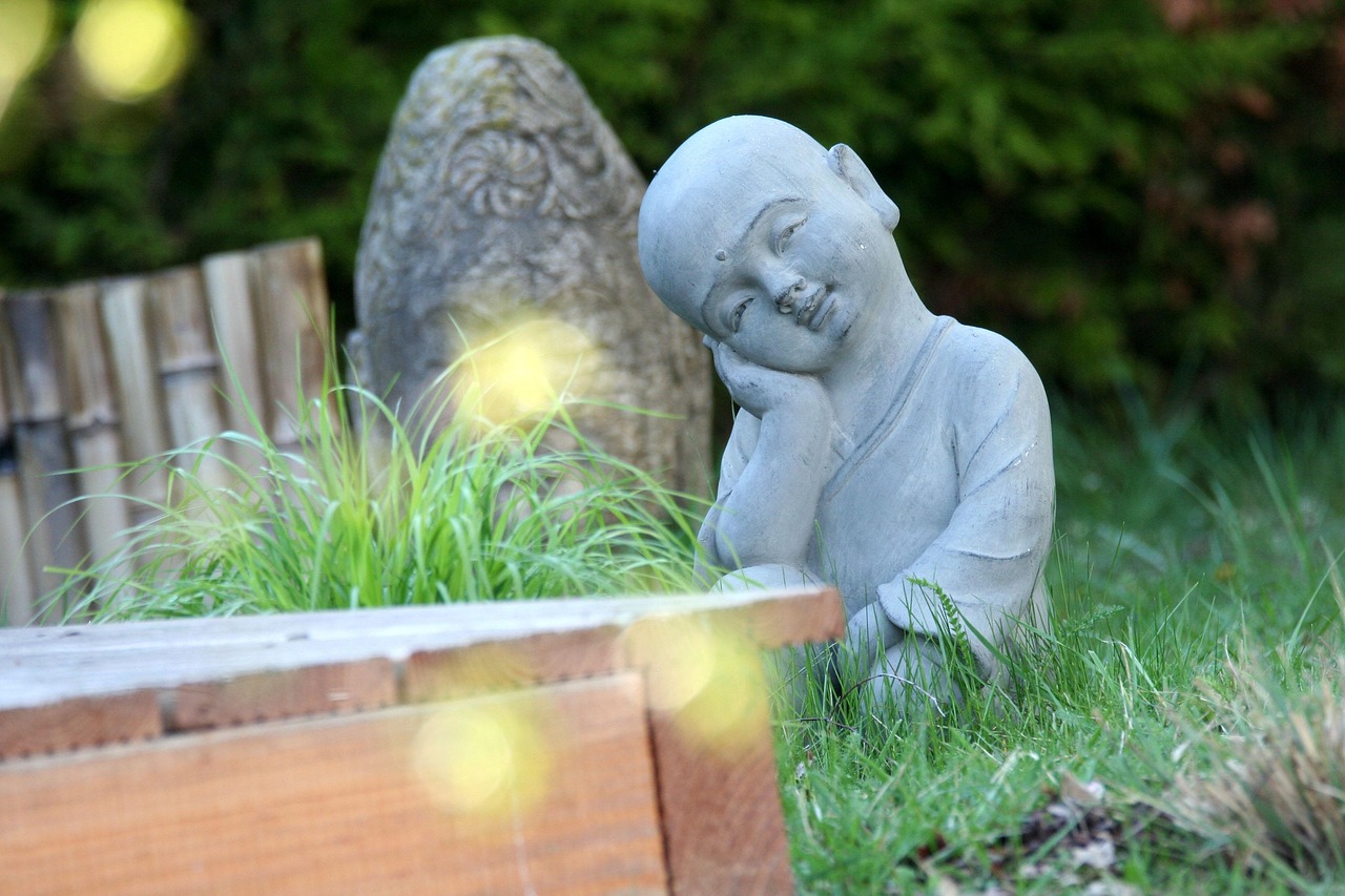 馬術(shù)比賽的瞬間之美與圖片魅力