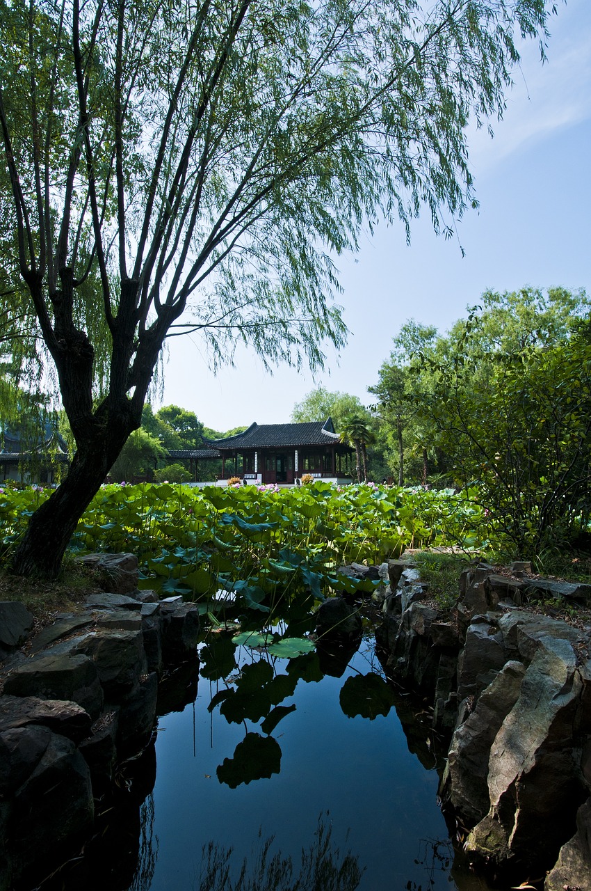 蘇州最新動(dòng)態(tài)，城市繁榮與未來脈動(dòng)展望