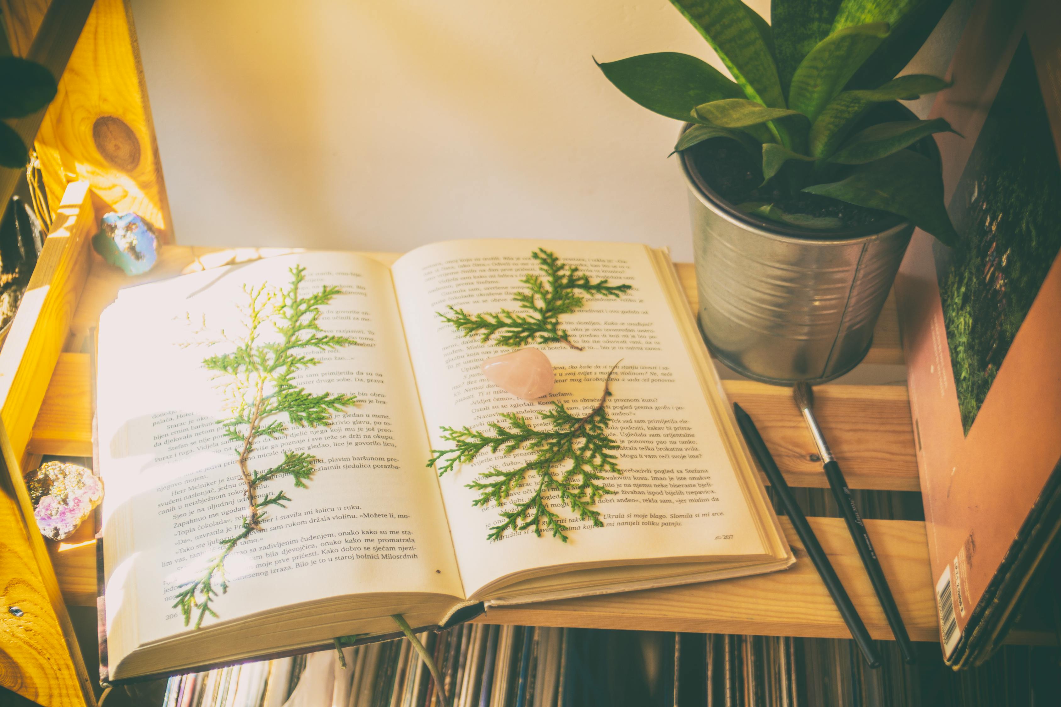 經(jīng)典誦讀比賽的感悟與體驗(yàn)，一場精彩的400字作文分享
