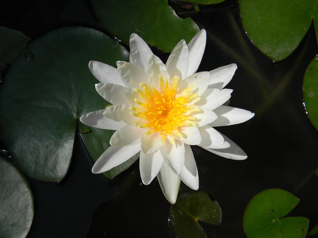 揭秘，引領(lǐng)未來(lái)海戰(zhàn)的新時(shí)代戰(zhàn)艦——055最新動(dòng)態(tài)