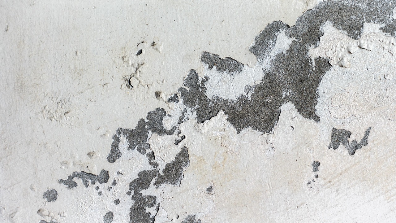 九州安置區(qū)持續(xù)推動建設(shè)與發(fā)展，最新動態(tài)與進(jìn)展報告
