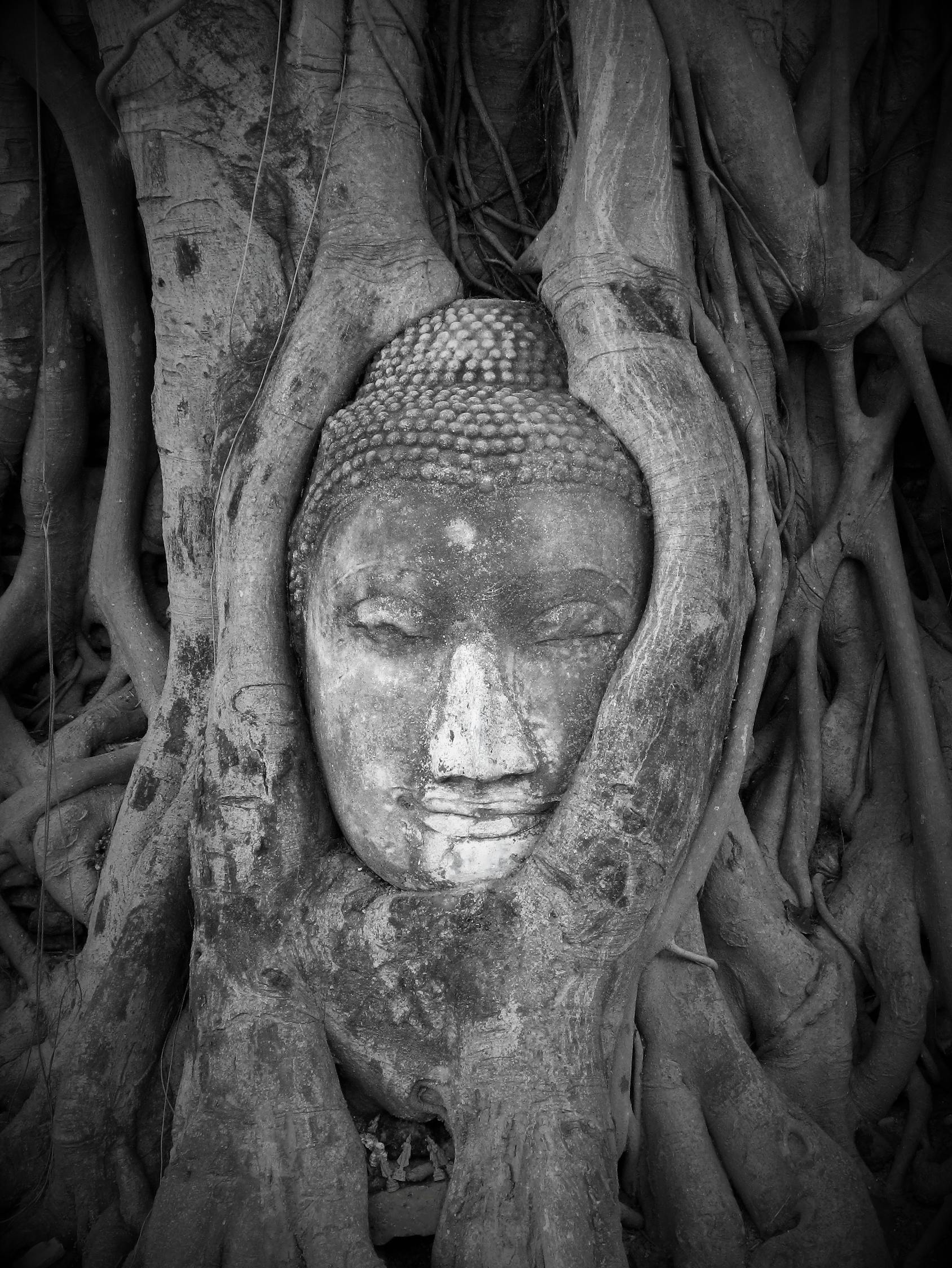 黑白動漫頭像的魅力，藝術(shù)世界的交織之美
