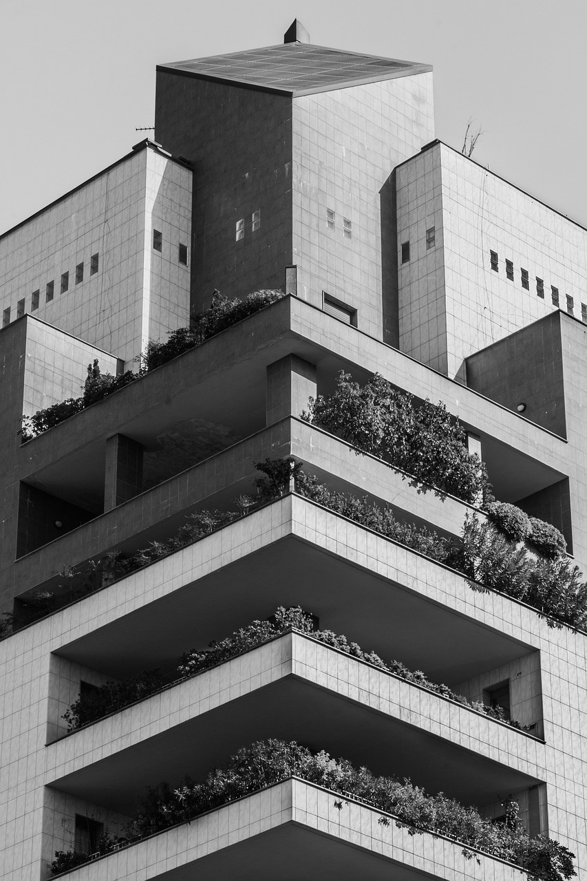 壽縣高速最新動態(tài)，建設進展及未來展望