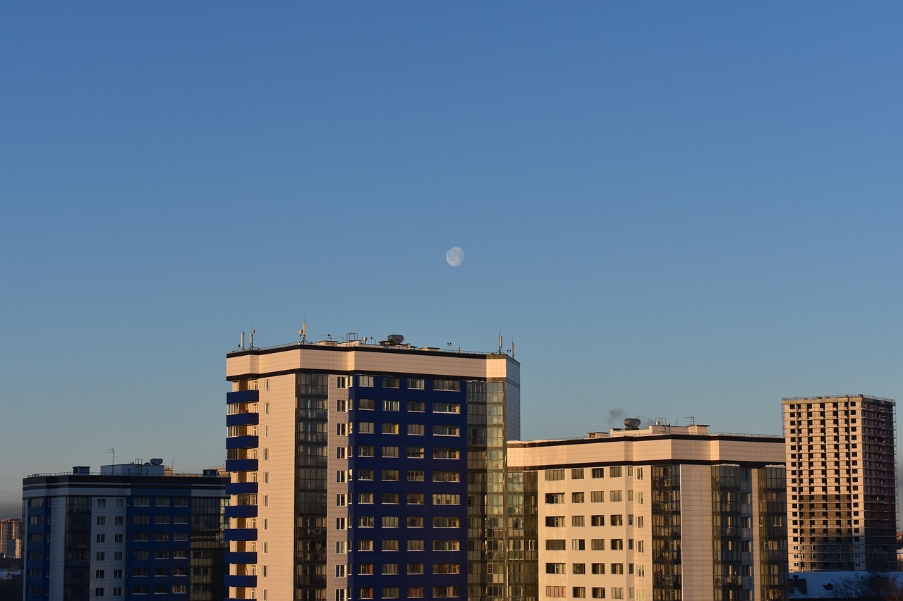 暮夏那年開 第2頁
