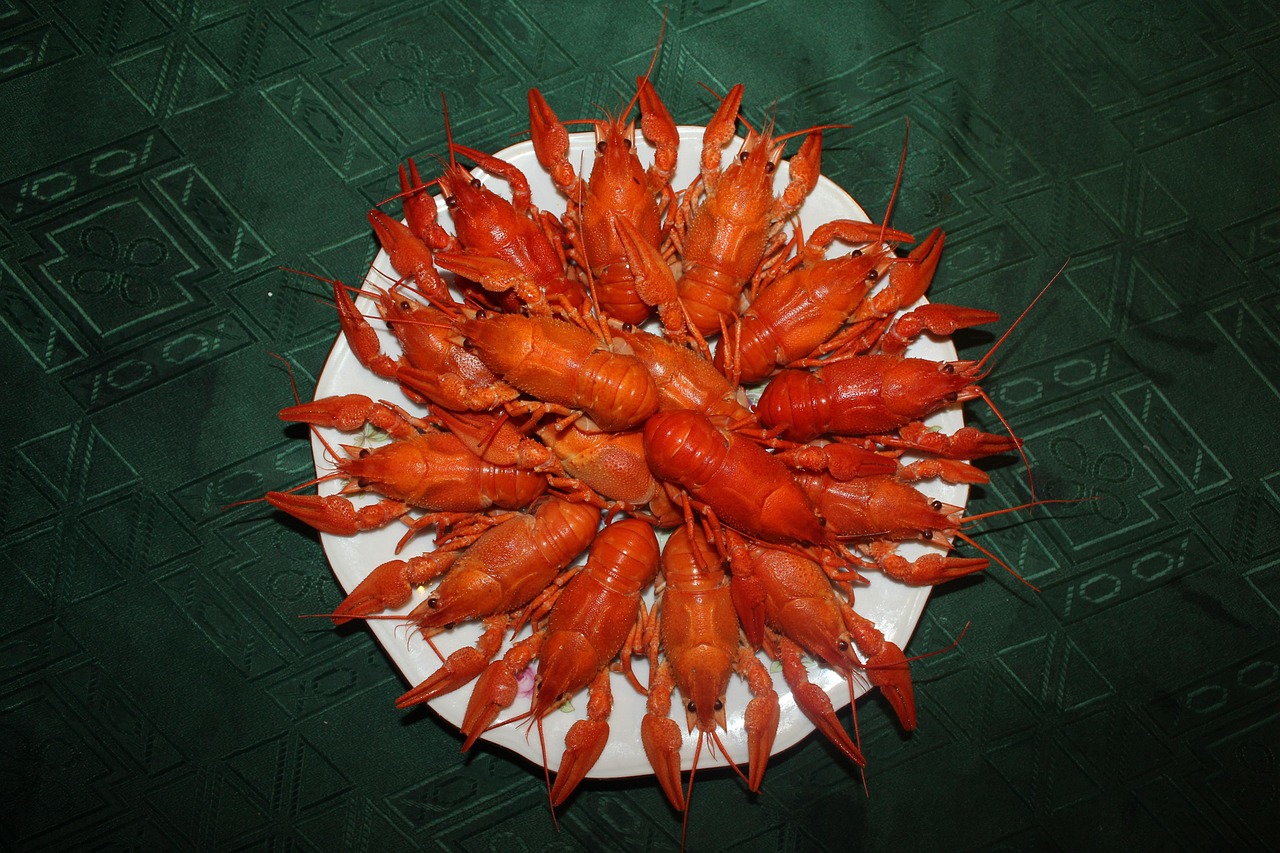第44頁