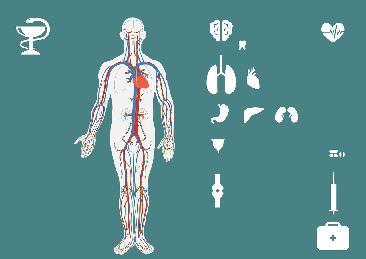 最新眼部保健操，守護(hù)您的視界健康之道