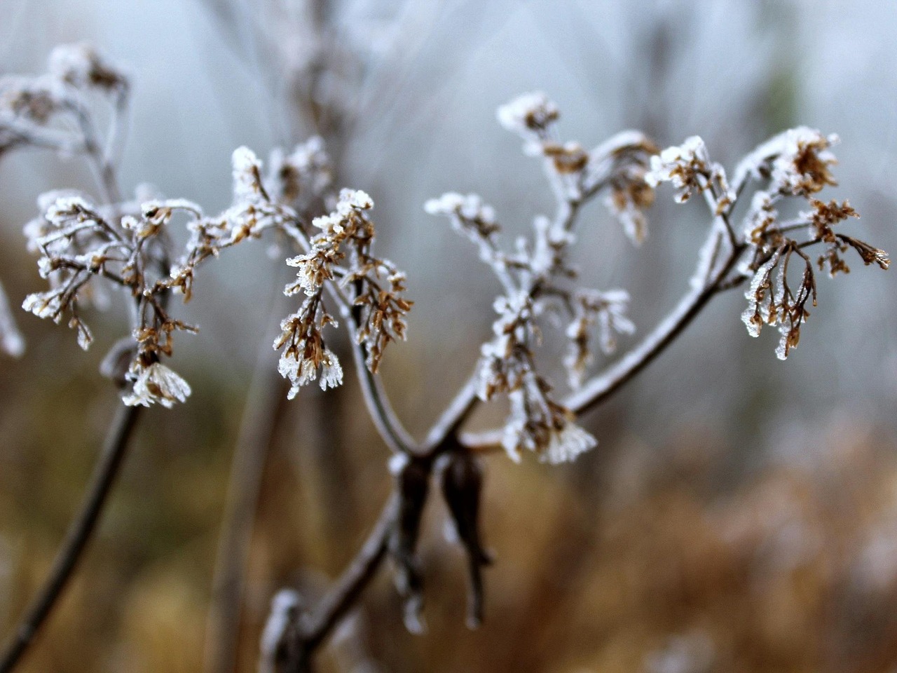 大雪冬至電影，溫情與深意的冬日篇章