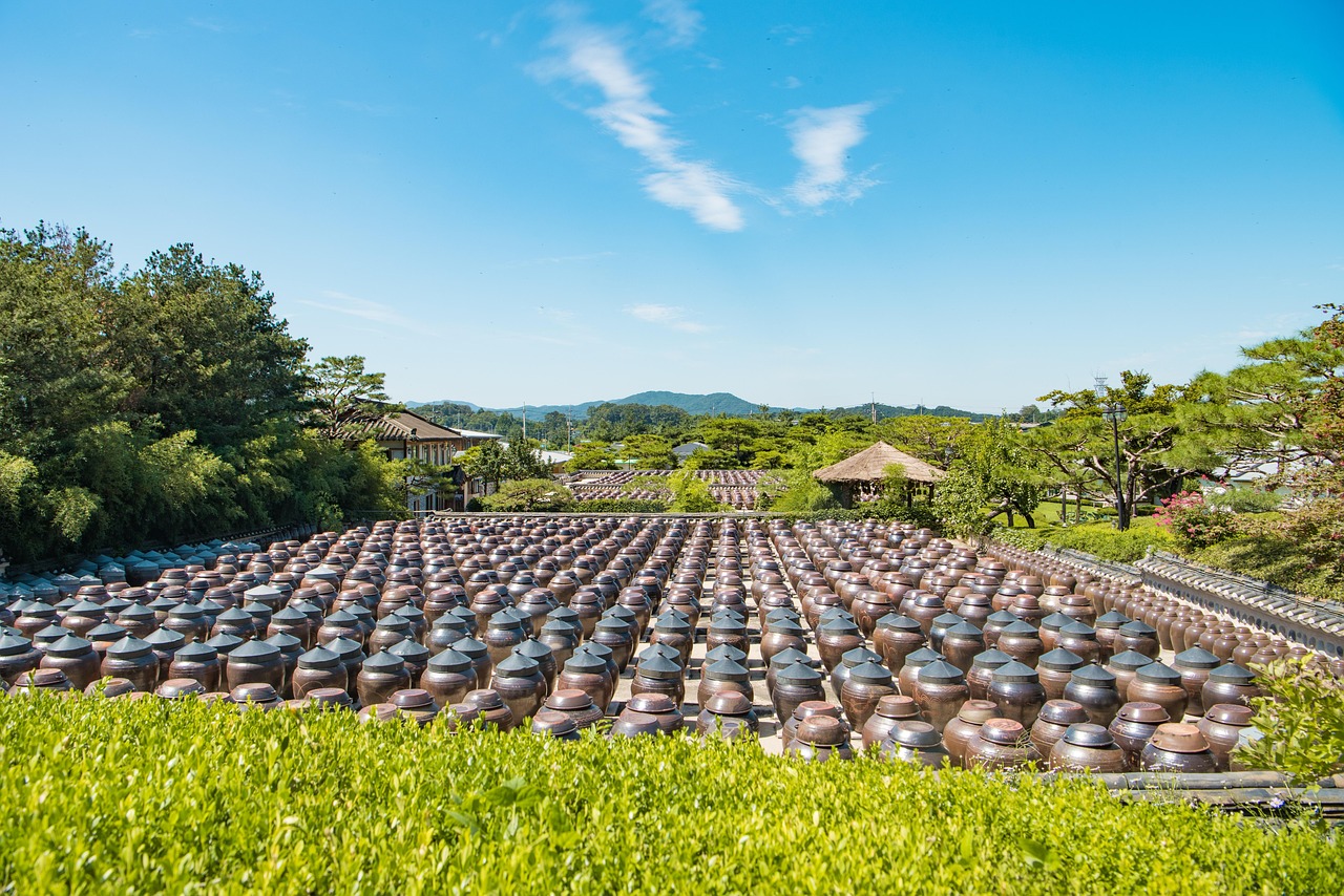 最新果樹品種探索，開啟未來農(nóng)業(yè)新篇章